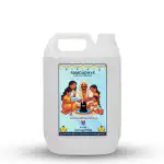 10 Litre Ramoudhya Gangajal - Purely Holy Water Sourced From Gangotri Valey Certified By The Uttrakhand Govt. For Pooja Purpose 10000ml The Elixir Of Nature
