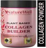 Naturewell Plant Based Collagen Builder Plant-Based Protein, 250 Gram