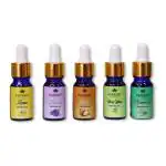 Asaagat Essential Oil Kit, 15 ml