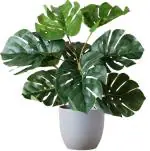 Superior Quality Artificial Monestera Plant With Small Leaves