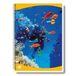 Navneet Youva| Spiral Notebook| Spiral Long Notebook with Safety Lock| A4 Size 21 cm x 29.7 cm| Single Line| 240 Pages| Pack of 2