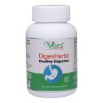 Naturz Ayurveda Diges Herbo - 60 Tablets