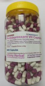 Antidepressant DH Herbal Supplement Capsules 600 Caps Jar - DoctorKC Herbal