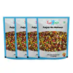 Funtush Mouth Freshener Punjabi Mix 100 gm Pack of 4