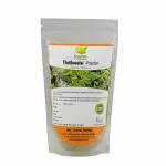 Jeyam Herbals Thuthuvalai - Climbing Brinjal - Solanum Trilobatum - Thuthuvalai Leaves Powder (200 gm)