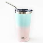 The Better Home Blue, Pink Stainless Steel Insulated Tumbler With Straw And Lid
