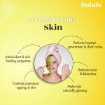 Indalo Turmeric Powder For Anti-Aging Skin Care & Treatment | For Face & Skin Whitening (100 g)