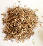 Green India Stylo Hamata Grass Seed -Grass Seeds - Fodder Seeds - (Stylosanthes Hamata Seed)_750 gm