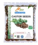Shree Jee Organic Castor Seeds (250g)| Arandi Ke Beej | Ricinus Communis | Amanakku Seeds