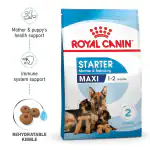 Royal Canin Maxi Starter 1-2 Months 1Kg