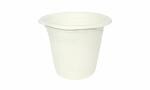 Klassic Sugarcane Bagasse White Biodegradable, Compostable, Eco-Friendly, Disposable, Safe & Hygienic Water Cups for Parties and Family Events (250 ml, Pack of 25)