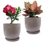 Plantori Ceramic Planter Pots With Plate For Garden/Home/Livingroom Plant Container Set(Pack of 2, Ceramic)