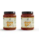 Bhumi Organic Pure And Natural Raw Unprocessed Unpasteurized Honey - 1000 g, Pack of 2