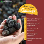 Nutrilitius Premium Ajwa Dates
