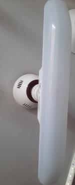 VocalPower 15w T-Bulb, Cool White Base B22, Pack 1pc