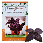 FARMGOKART|10 Gms BASIL DARK OPAL Herb Seeds|for Home Gardening , Farming & Hydroponics|