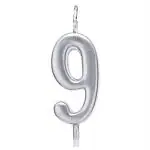 Hippity Hop Silver Number Birthday Candle