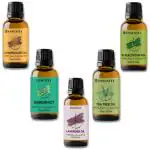 Essentia Extracts Combo of Lavender, Tea Tree, Lemongrass, Eucalyptus and Bergamot Essential Oil, 75ML (5*15ML)