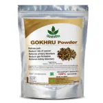 Havintha Natural Gokhru Powder for Relives Pain - Gokshura Churna - 100 gm