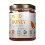 Havmi Wild Honey 100% Pure Natural Organic Honey Rich in Vitamins And Essential Minerals Best Use in Weight Manage ( 250 Grams )