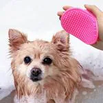Pets Empire Pet Dog Cat Bath Brush Comb Rubber Hair Fur grooming Massage Hand Shower