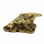 Petrichor Feng Shui Polyresin 3 Legged Frog with Money Coin 12.7 x 9.7 cm