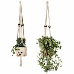Green Roots Macrame Cotton Rope Plant Hanger - Set of 2 Off White