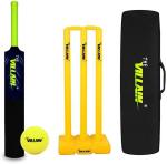 THE VILLAIN BAT COMBO SET ONE BAT WITH ONE WICKET SET 1_TENNIS BALL Plastic Cricket Bat  (750 g)