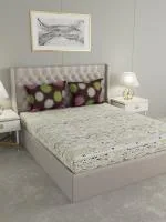 Raymond Home CAMPHOR Cotton 144 TC Double Bedsheet With 2 Pillow Cover