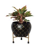 Sambhuya Lio Flower Pot Planter With Stand for Home & Office Decoration | Size - 13.5 cm X 10 cm | Stand Size - 12 cm X 5 cm