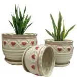 Garden Art Multicolor Round Imported Modern Indoor Garden Cactus Succulent Plants Home Office Decor Ceramic Flower Pots (21 x 17 x 14 cm) pack of 3