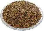 Tamransh Gelunix Shivling Beej Seed, 100 Seeds