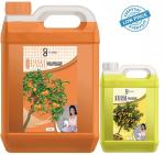 FLISKO Floor and Dishwash Liquid 6L (Lemon 1L + Orange 5L)