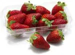 XOLDA Strawberry Seed (50 per packet)