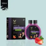 Reyo Natural Fruit Gel Hair Color (120ml) Pack of 1 | No Ammonia | Long Lasting Color