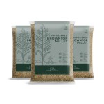 The Millet Company Unpolished Browntop Millet 3 kg