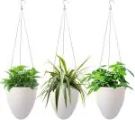 Garden Art White Egg Wooden Stick Eggshell Hanging Container Indoor and Outdoor Terrace Balcony Patio Decor Polyvinyl Chloride and Stainless Steel Hanging Plant Pot