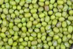 Green World Moong Seed 15 kg