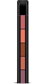 Bingeable Multicolor Nude Colors 5 In 1 Long Lasting Waterproof Matte Me Liquid Lipstick - 7.5 Ml