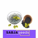 Andramart Raw Basil Seeds - Calcium Rich 500 gm
