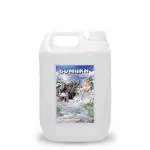 Gomukh - Gangajal 5 Litre| The Purest Holy Water Directly From Gangotri Valley |