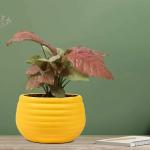 Lasaki Spring Saffron Ceramic Pots for Indoor Plants l Planters l (D - 10 X H - 8 cm)