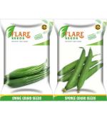 Flare Seeds Snake Gourd and Sponge Gourd Seed 50 Per Packet (Pack of 2)