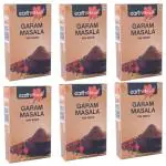 Earth Seed Flavourful and Aromatic Garam Masala Powder for Delicious Cooking, 50 gm - Pack Of 6