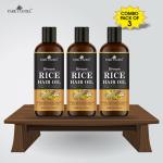 Park Daniel Brown Rice Hair Oil Enriched With Vitamin E, 100 Ml Each (Pack Of 3)