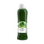 Hitkary Pharmacy Twisty Kaccha Aam 700 ml