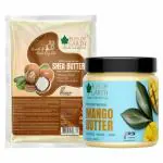Bliss of Earth Shea Butter + Mango Butter For Stretch Mark | Skin Smoothing | Moisturizer 100gm Each