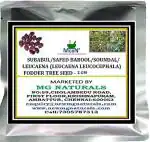 Mgbn The Path For The Healthier Life With Beauty Subabul Safed Babool Soundal Leucaena Fodder Tree Seed (60 Seeds)