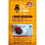 Robin Export Company 2 Mukhi Nepali Rudraksha Two Faced Rudraksh with Lab Test Certificate