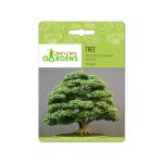 National Gardens Japanese Green Maple Bonsai Seeds (5 Nos)